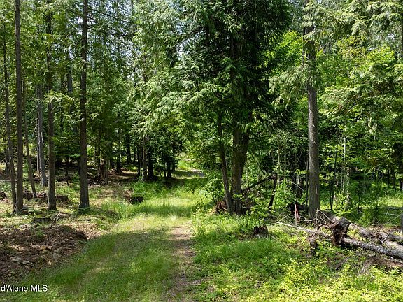 3rd image of 161 Finch Trl