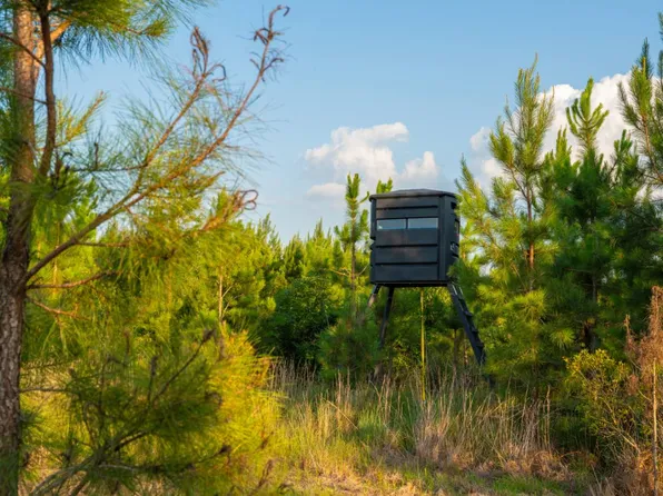 0 Mann Rd #2, Arabi, GA 31712