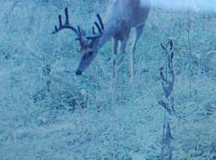 6583 N State Highway 501, Kings Mountain, KY 40442