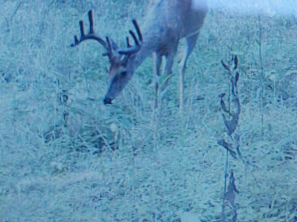 6583 N State Highway 501, Kings Mountain, KY 40442