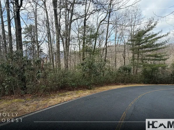 Lot 40 Buckberry Drive N, Sapphire, NC 28774