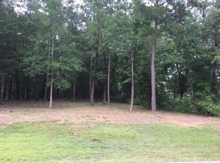 14689 Diamond Shrs, Willis, TX 77378