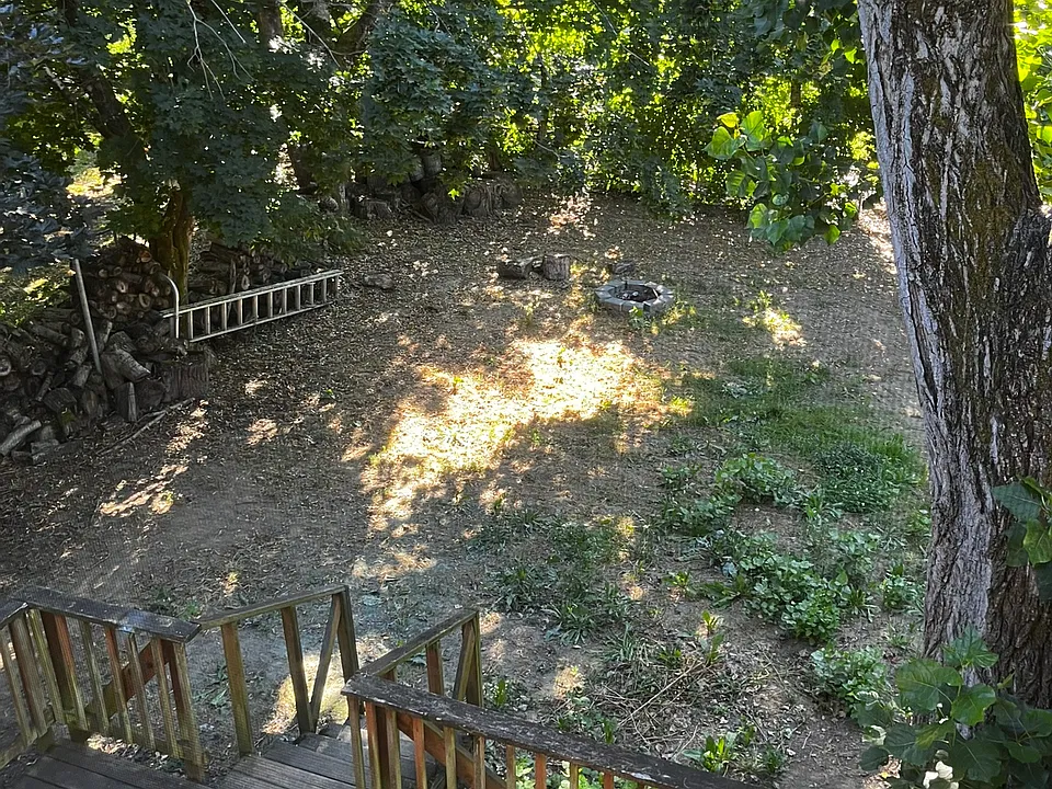 A back yard dogs only dream of.