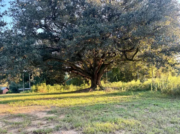 0 Sawmill Rd, Sandy Hook, MS 39478