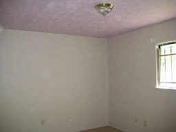 5th image of 8715 Lakeside Forest Dr