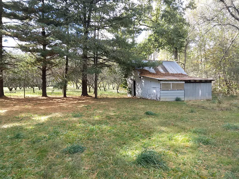 Barn with 2nd apple orchard in background.