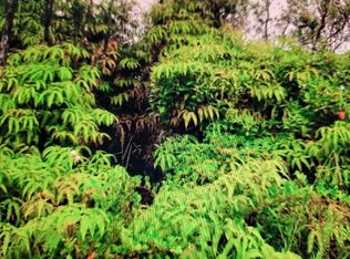 14-3420 Hilo Rd LOT 729, Pahoa, HI 96778