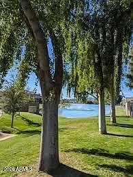 3 bed, 1.5 bath, 962 sqft, $2,350 — Photo 3