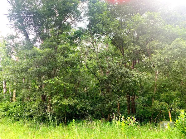 Xxx Snowflake Cir, Pequot Lakes, MN 56472