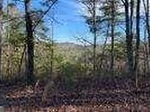 1026 Raccoon Rdg NE, Ranger, GA 30734