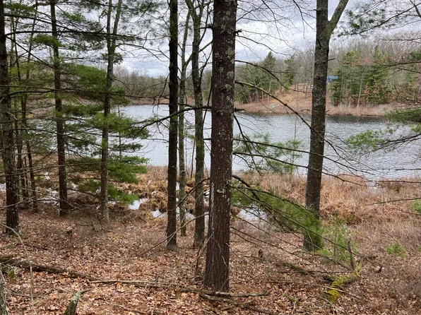 N Perch Lake Dr, Bitely, MI 49309