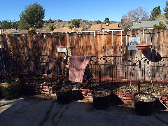 Large Garden Area Out Back