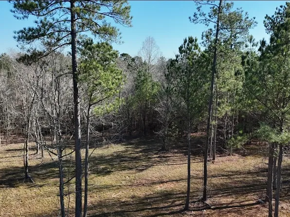 390 New Hope Vesta Rd, Carlton, GA 30627