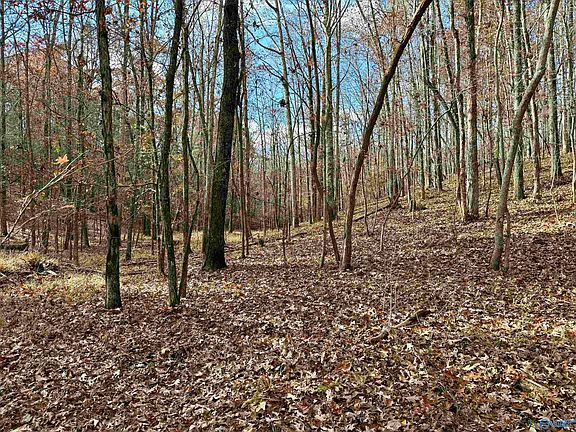 4th image of 1 County Road 137