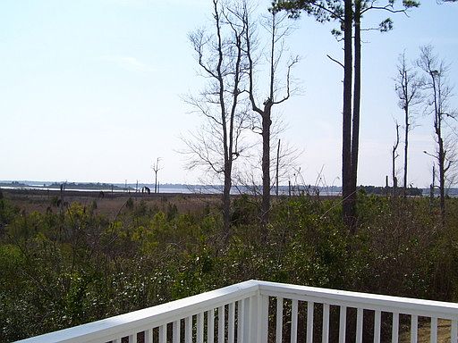 3rd image of 223 River Gate Ln