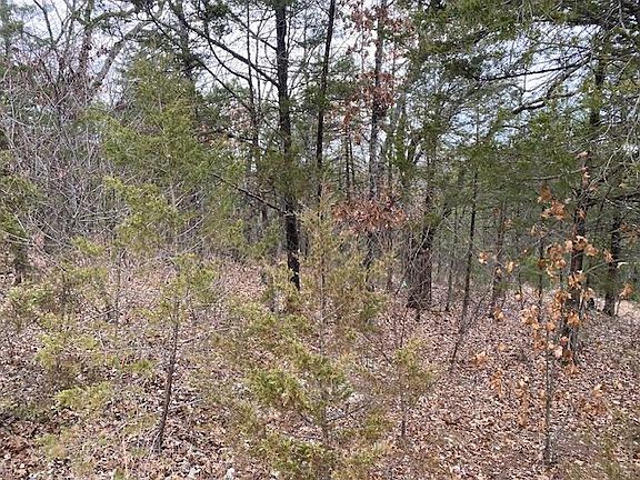 5th image of 000 Pioneer Way Lot 22