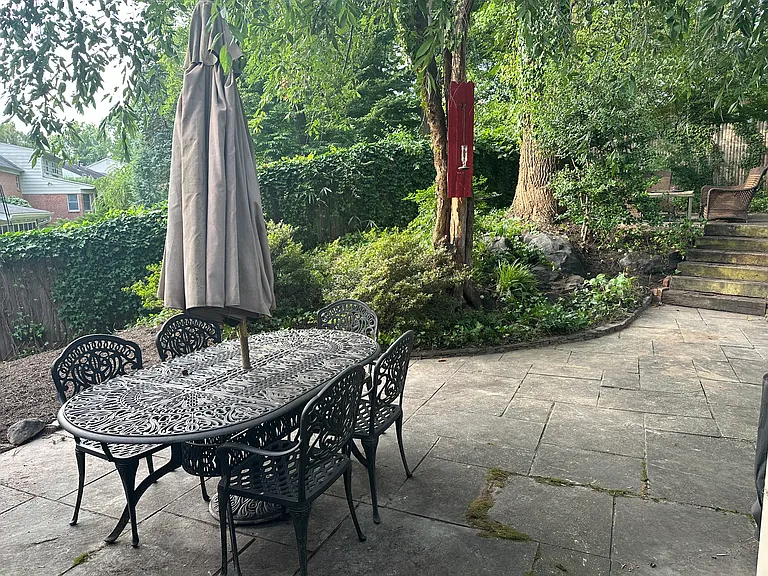 Backyard - Left