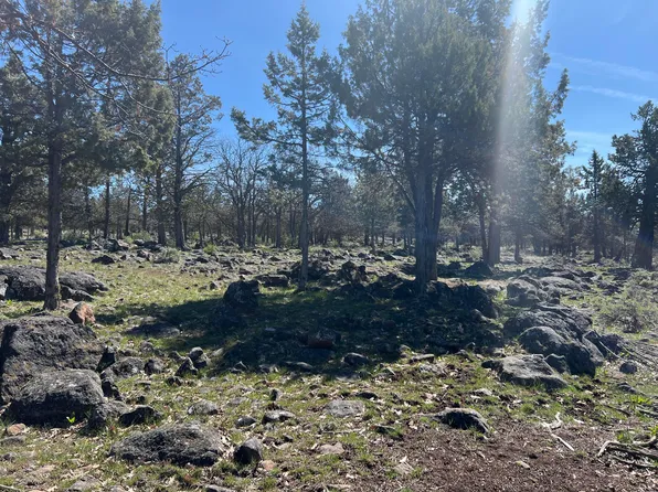 LOT 506 Dowitcher Rd, Klamath Falls, OR 97601