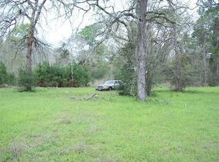 16924 Azalea Ln, Plantersville, TX 77363