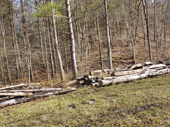 TBD Brush Run Road, Reader, WV 26167