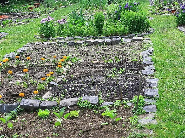 Community garden in the next block.