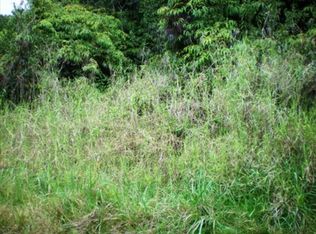 LOT 3 Lot 3, Naalehu, HI 96772