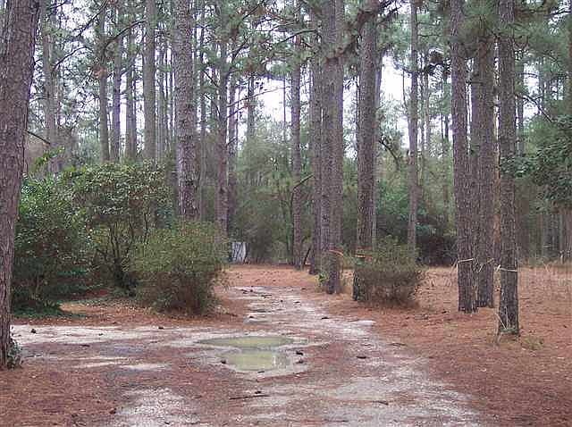 2nd image of TBD Midland Road