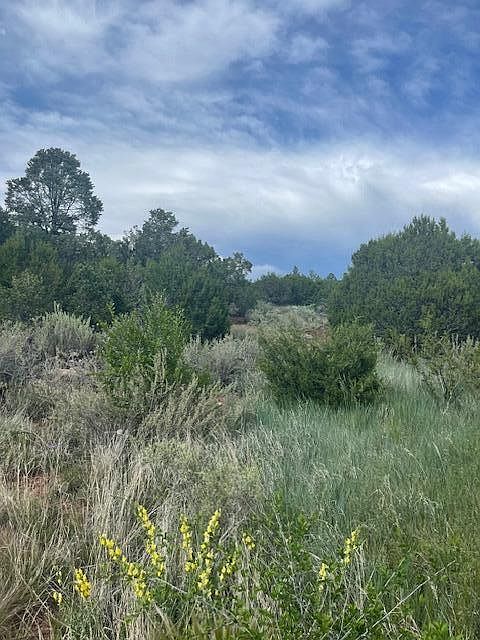 2nd image of 11 Juniper Ridge Rd