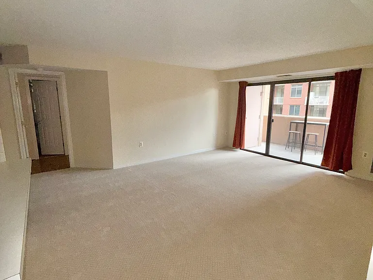 1301 N Courthouse Rd #910 — Photo 7