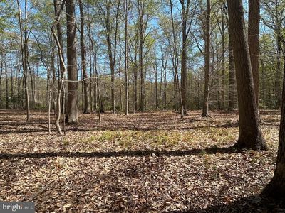 Mount Nebo Rd, Chesapeake City, MD, 21915