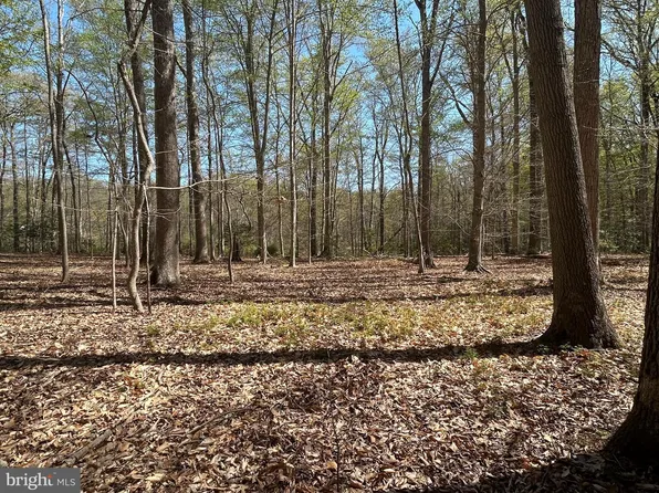 Mount Nebo Rd, Chesapeake City, MD 21915