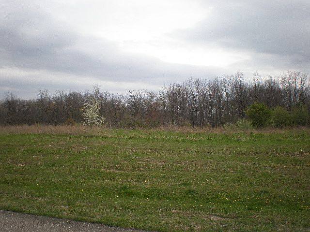 1st image of Vacant Buckskin Trail