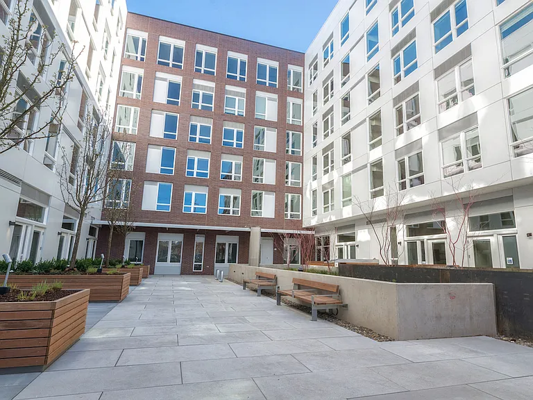 Courtyard with greenery and seating for outdoor relaxation.