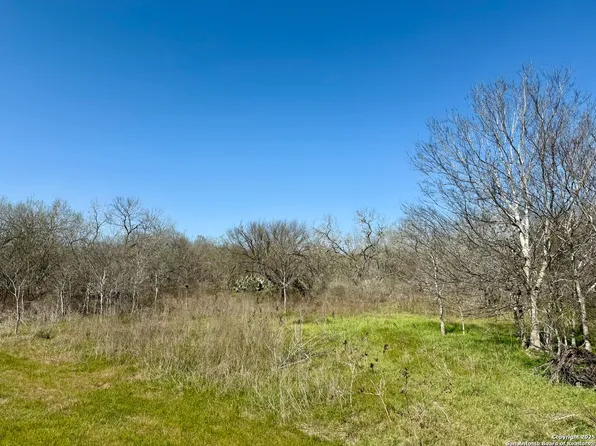 0 CR 138, Kenedy, TX 78119