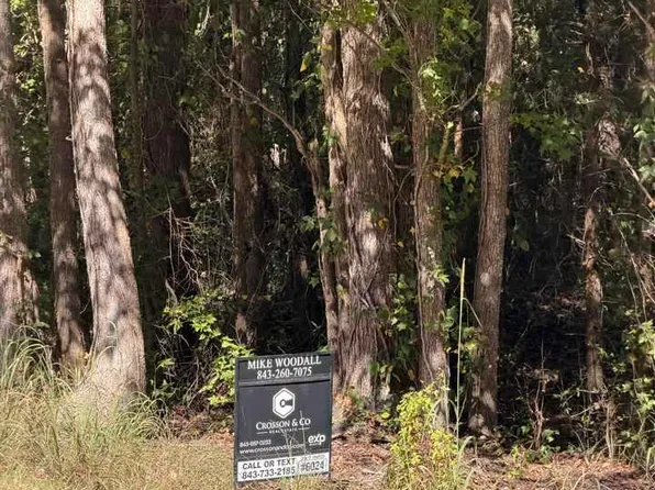 Salem Rd Tract 4, Bennettsville, SC 29512