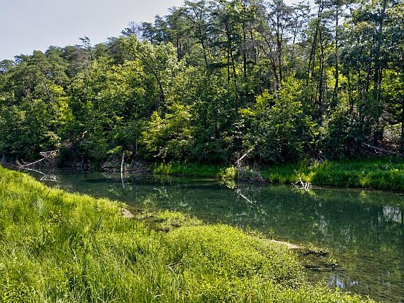 3rd image of 3824 James Ed Rd