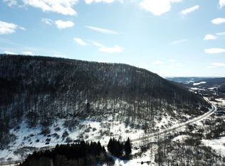 Bailey Creek Rd LOT WP001, Millerton, PA 16936