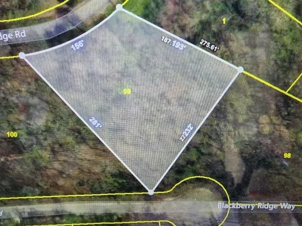 0 Coconut Ridge Rd Lot 99, Smithville, TN 37166