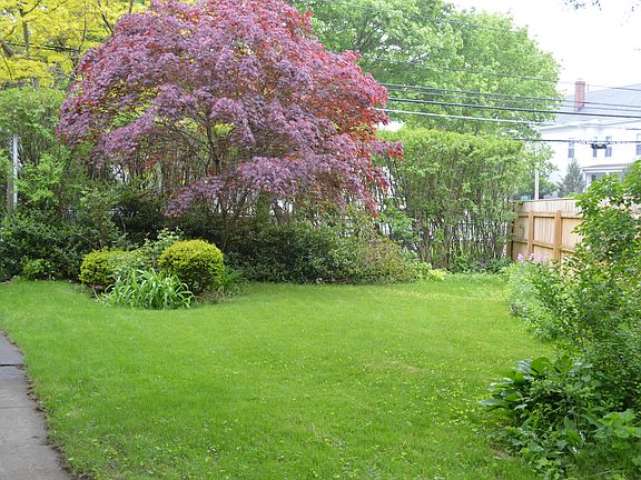 mature plantings