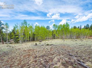 57 Beaver Creek Ct, Lake George, CO 80827
