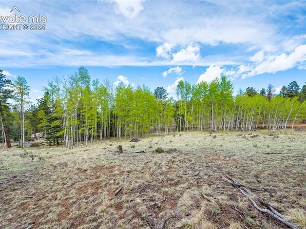 57 Beaver Creek Ct, Lake George, CO 80827
