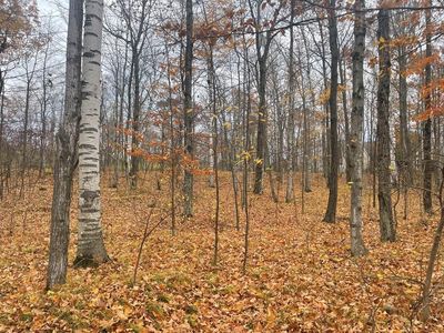LOT 14 Birchstone Ln, Egg Harbor, WI, 54209