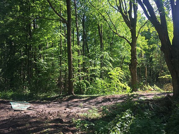 Great wooded building site