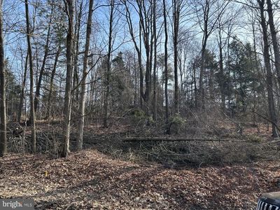 LOT Wall Farm Rd, Grampian, PA, 16838