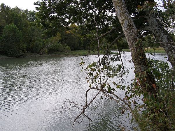 2nd image of 1 D0610 Road