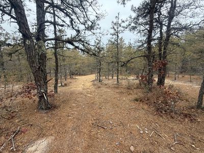 0 Ash Court, South Dennis, MA, 02660