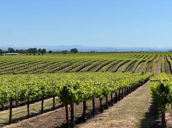 24500 N Linn Rd, Acampo, CA 95220