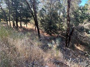 9763 Palmer Dr, Cobb, CA 95426