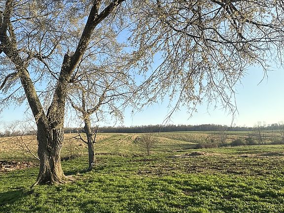 3rd image of 46 Caps Rd