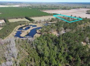 680 Porters Lndg LOT 1, Clyo, GA 31303